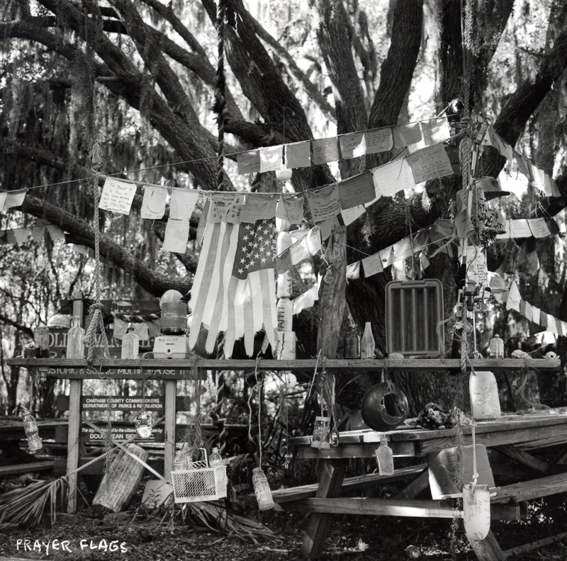 black and white image of oak tree hung with prayer flags