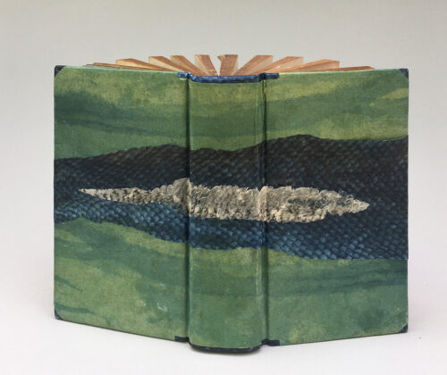 Anna Embree, Meditations and Contemplations, fish parchment, paper, thread, adhesives; millimeter-style binding, 5 x 3 x 1-1/4 inches