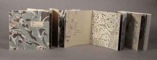 Julie Leonard, Beauty Persists, letterpress printing, digitally printed photographs, suminagashi on various hand and machine made papers; accordion binding, 9 x 81 inches open, 9 x 9 inches closed