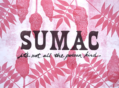 Val Lucas, Sumac (Maligned Plants #1), pressure print, hand-set wood type, 11 x 17 inches