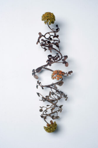 Beverly Penn, Asclepias, cast bronze, 24 x 10 x 10 inches